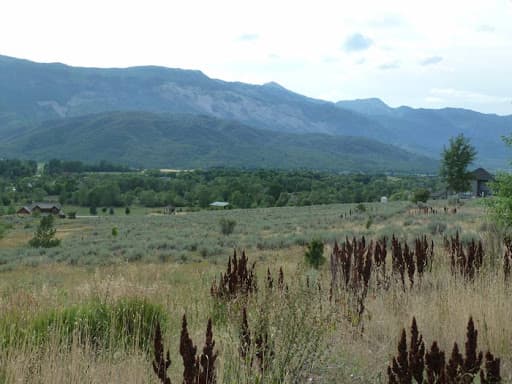 Sheep Creek