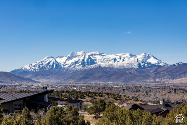 2414 E FLAT TOP MOUNTAIN DR photo 4