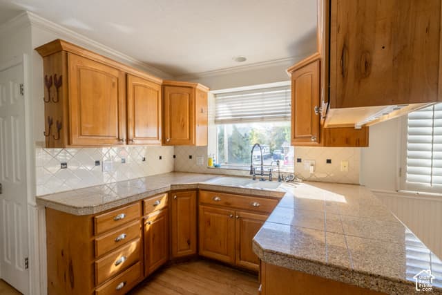 8613 S VAQUERO DR photo 4