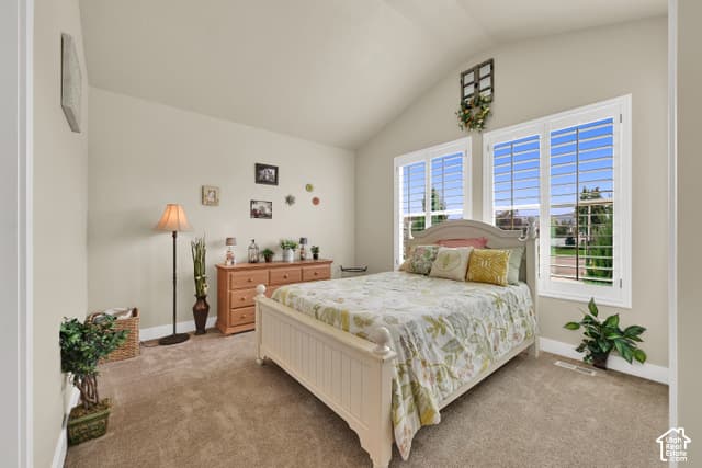 12917 S SANDY SLOPE CIR photo 4