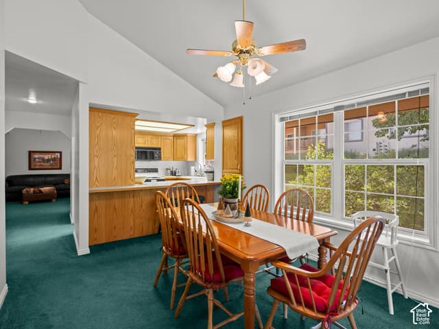 1004 URI LN #C-8 photo 4