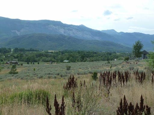 Sheep Creek