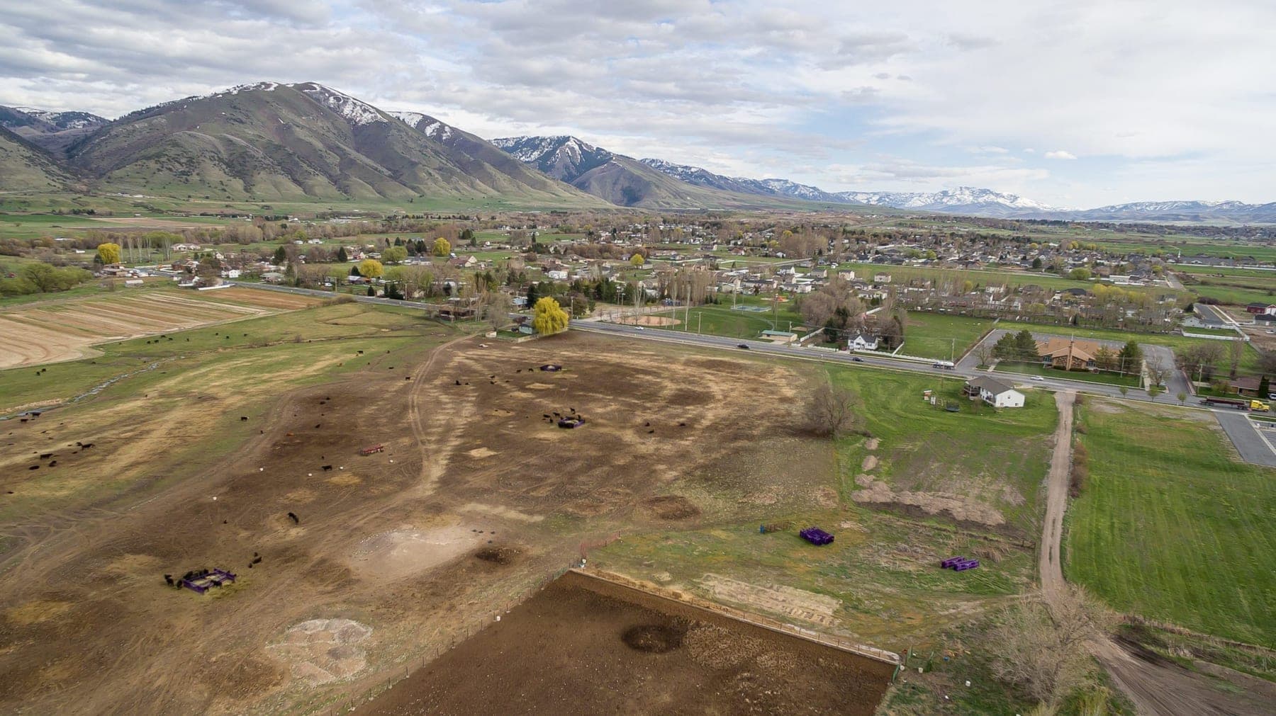 Ridgeline Park- Single Family Home