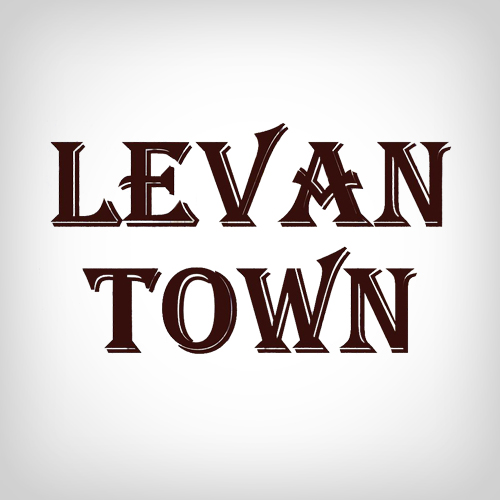 Levan City