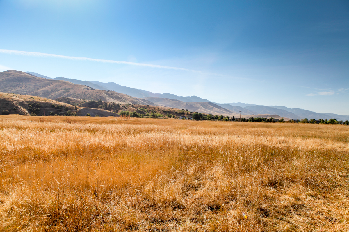 Lantern Hill Estates- Sierra Homes