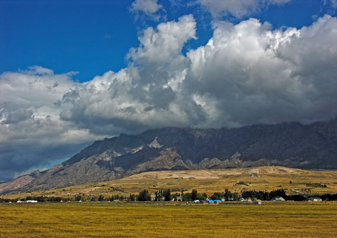 Fremont Meadows